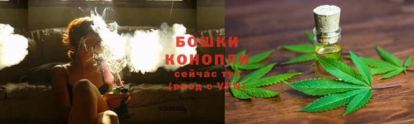 соль ск Липки